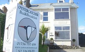 Oystercatcher